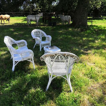 La Marquise Penchee Bed & Breakfast Orsennes Luaran gambar